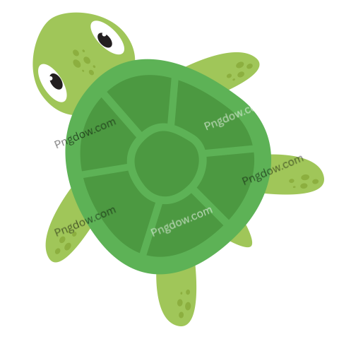 Turtle Cute Baby Animal illustration