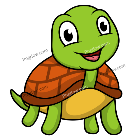 Turtle cute animal cartoon