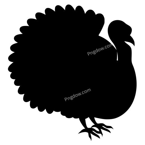 Turkey png transparent background images free (32)