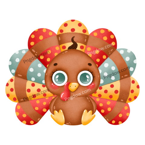 Turkey png transparent background images free (28)