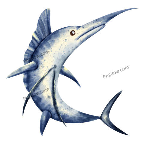 Watercolor swordfish png transparent background