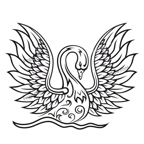 Elegant Swan Bird transparent background
