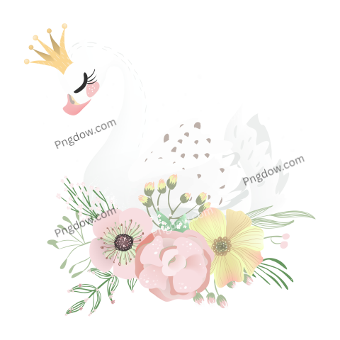 Beautiful white romantic dreaming swan