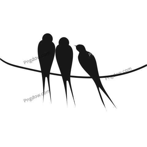 Birds sitting on wire  Black wild swallow silhouettes
