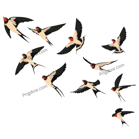 A flock of flying swallows