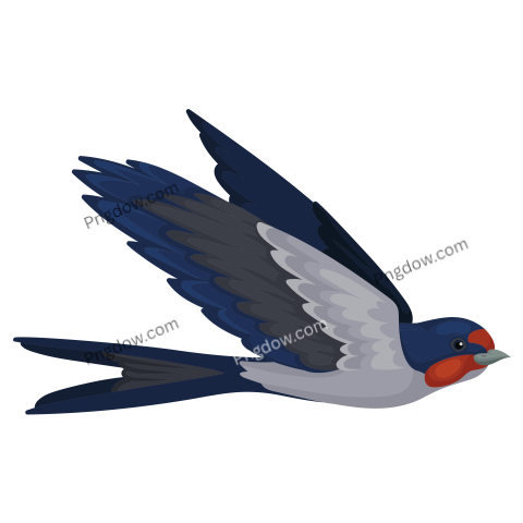 Flying Swallow Bird with Red Plumage around the Beak and Dark Blue Wings Vector Illustration on a White Background