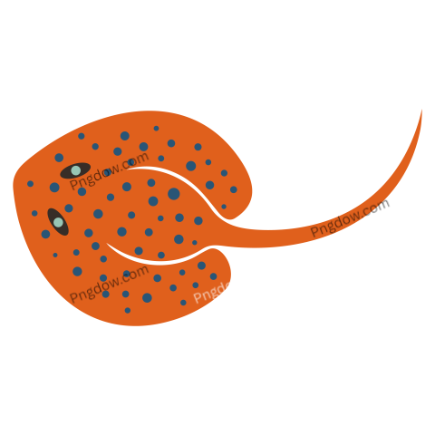 Stingray Silhouette Isolated Stingray on White Background