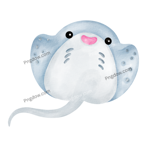 Stingray watercolor transparent background