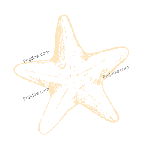 Starfish Chalk Sketch
