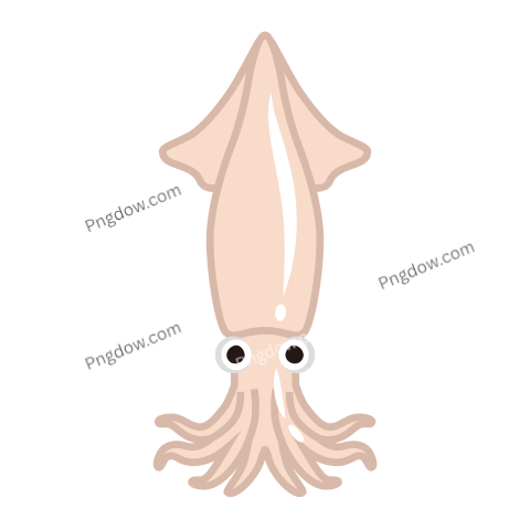 Squid Vector Illustration Icon