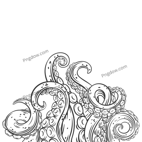 Hand Drawn Octopus Tentacles