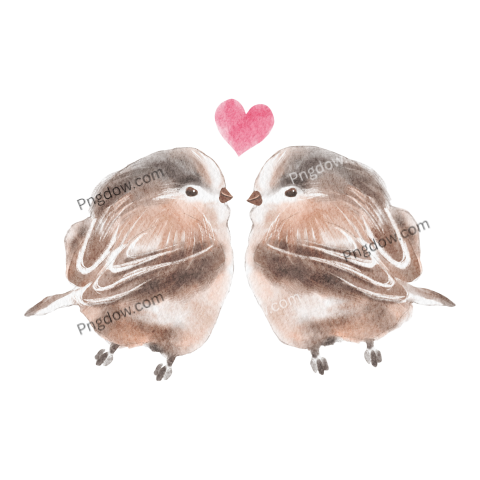 Couple Sparrow bird transparent background