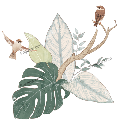 Tropical Leaves and Sparrows transparent background