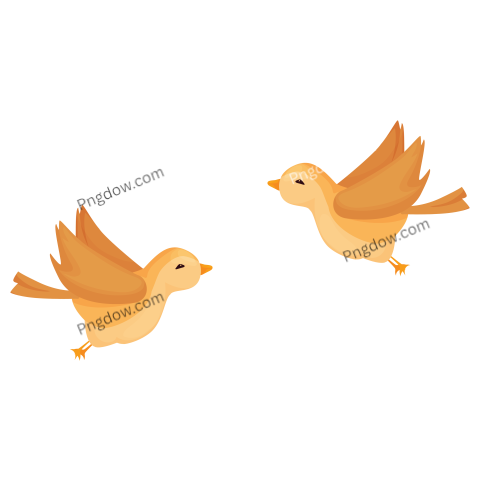 Flying Sparrow Birds