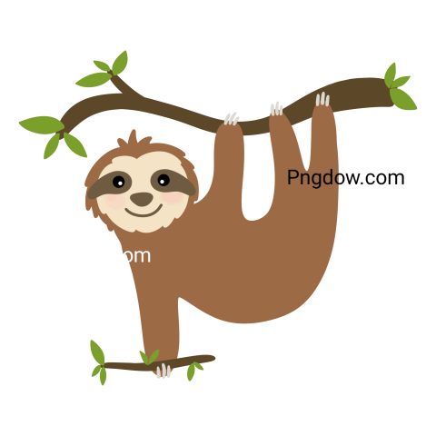 Sloth hanging on tree, transparent background