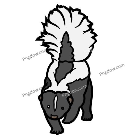 Skunk transparent background image free download