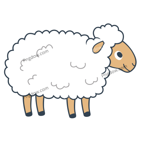 Sheep Illustration