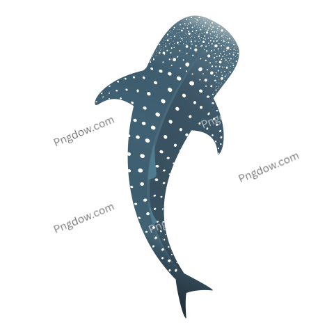 Whale Shark Animal Character