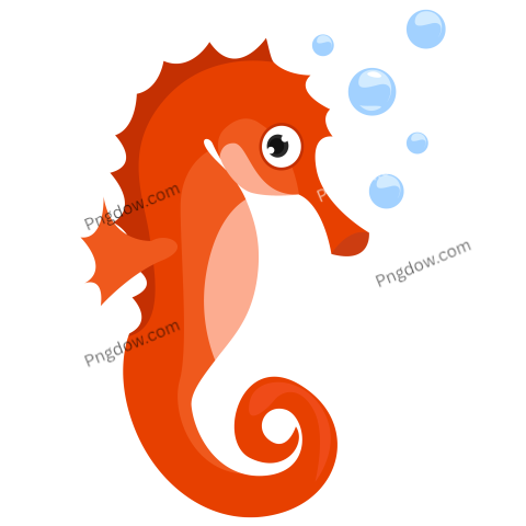 Orange Sea Horse, Illustration, Vector on White Background