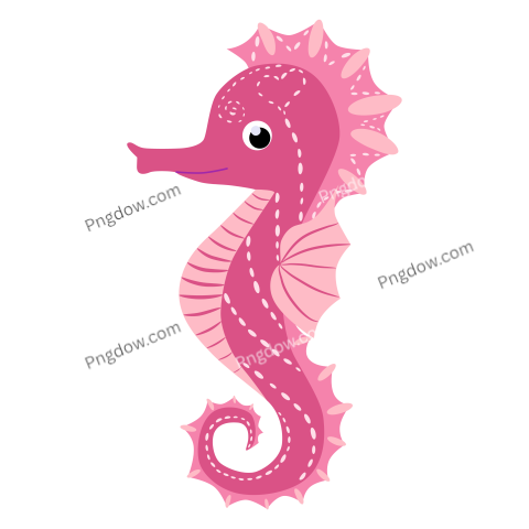 Pink Seahorse Illustration