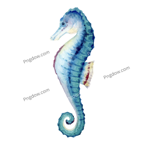 Turquoise Blue Seahorse Watercolor