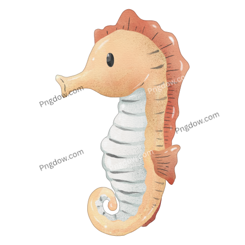 Watercolor seahorse