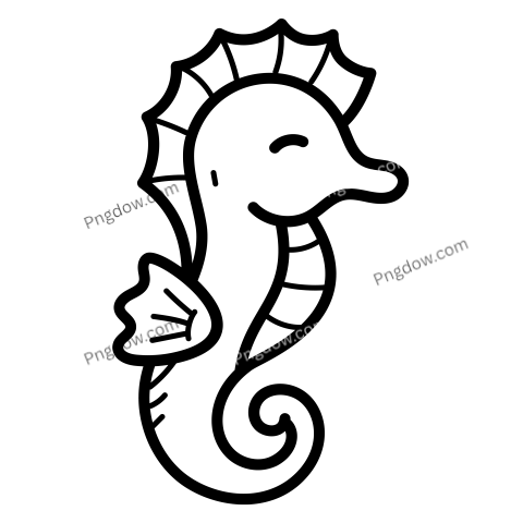 Seahorse transparent background