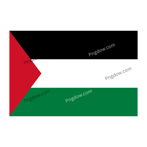 Flag of Palestine Illustration