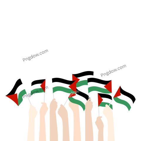 Hold flag palestine