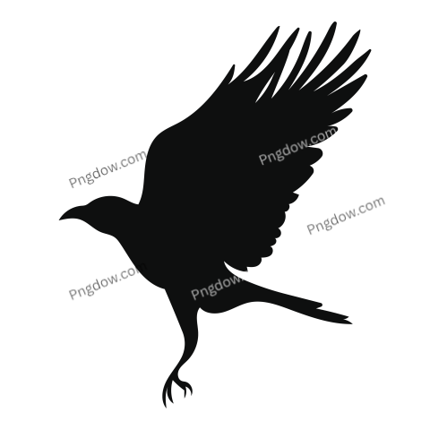 Raven transparent background image free