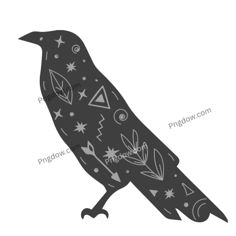 Raven illustration Boho, bohemian, handdrawn