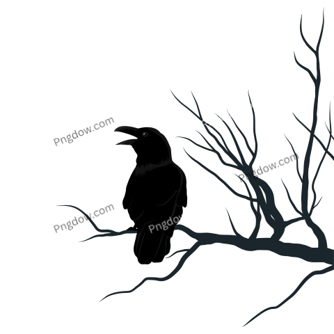 Raven black graphic sketch