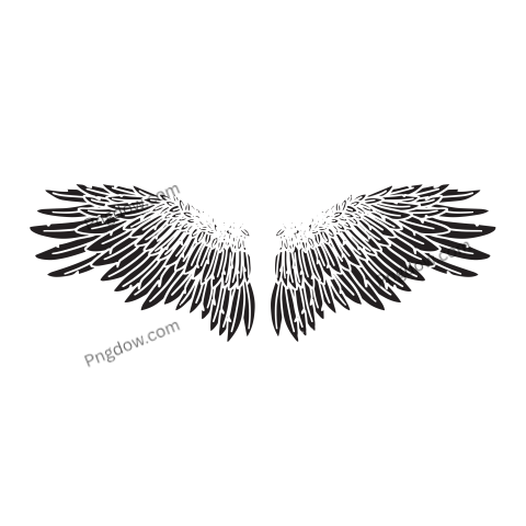 Black Angel Bird Feather Wings Illustration Vector