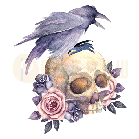 Watercolor crow, skull and roses