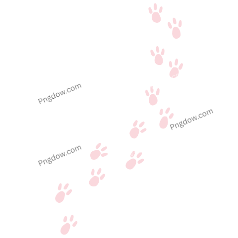 Rabbit Footprints Illustration free