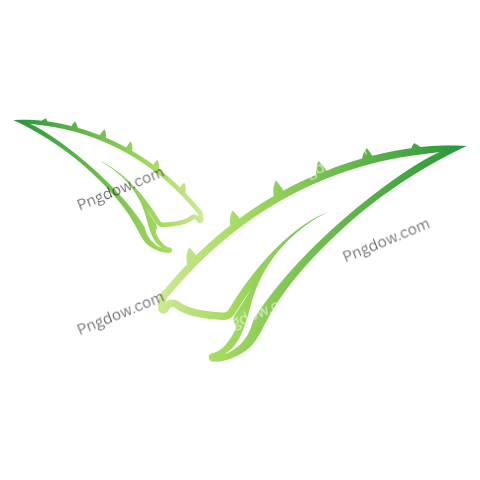 Aloe Vera Logo Design Icon Vector