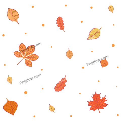 Autumn leaf fall Png photo