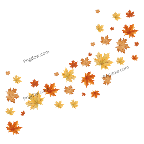 Autumn Falling Leaves
