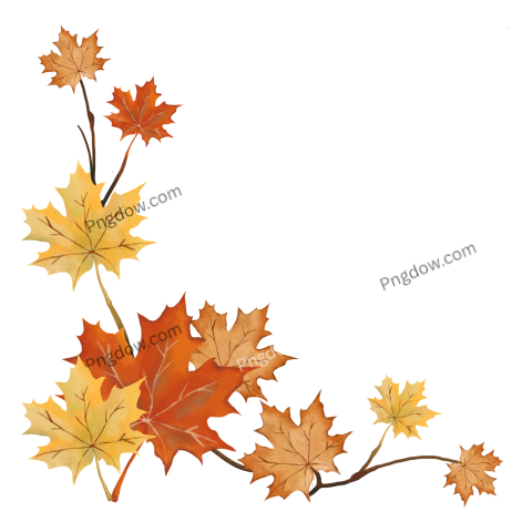 Autumn Leaves Border, Png image