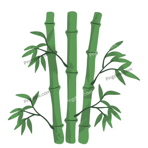 Chinese Bamboo