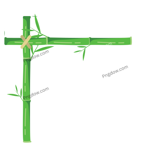 Bamboo Tree Illustration