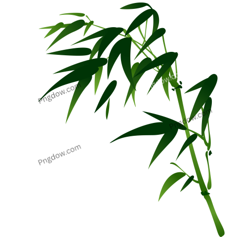 Oriental Bamboo Branch