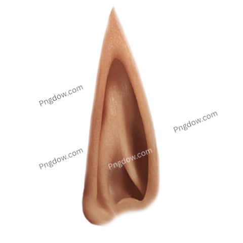 Elf Ear Stickers, transparent background, (1)