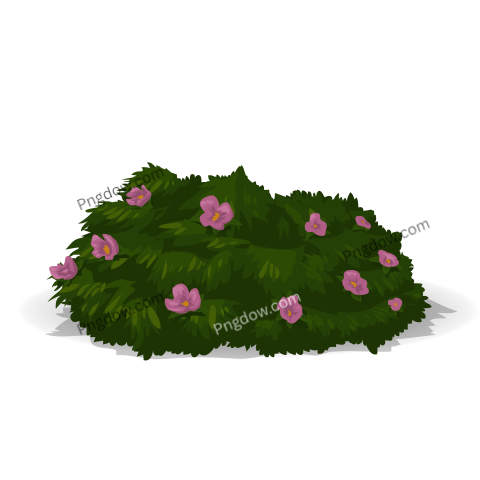 Flowering Bush Illustration for free