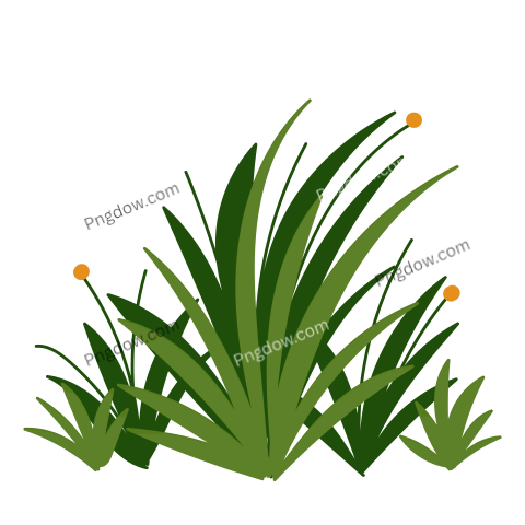 Bush Illustration png for free