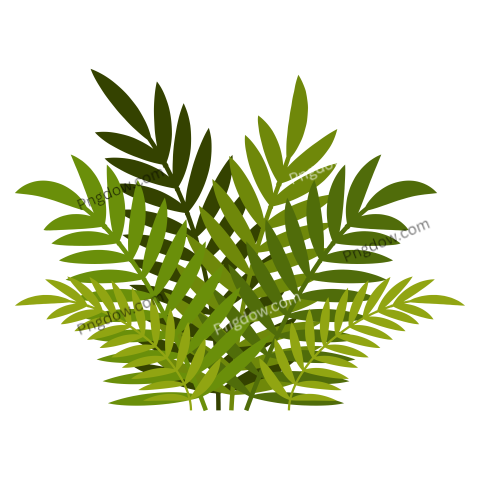 Cartoon Bush Jungle Forest Green Foliage Plant