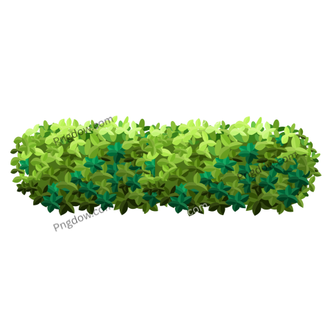 Bush Flat Illustration