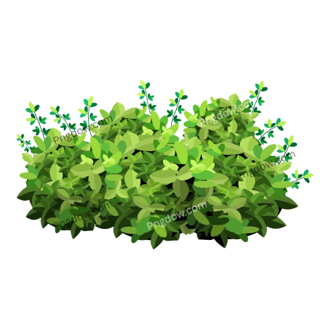 Bush Flat Illustration Png free