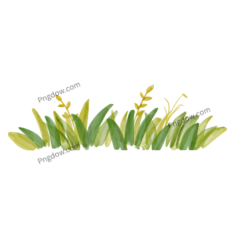 Watercolor bush illustration