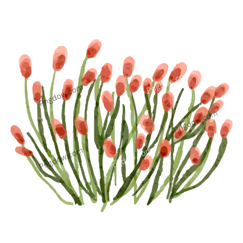 Watercolor Spring Bush Flower Illustration